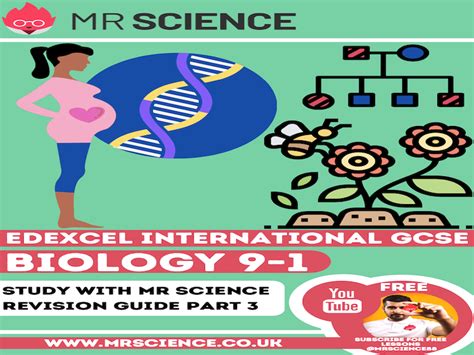 Igcse Biology Edexcel Reproduction And Inheritance Revision Guide