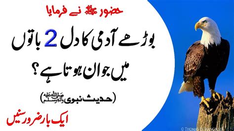 Hazrat Muhammad Saw Ny Farmaya Hadees Sharif Haees Mubarak Collection Of Urdu Hadees