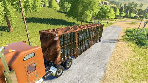 Silverstar Horse Trailer V10 Fs19 Mod