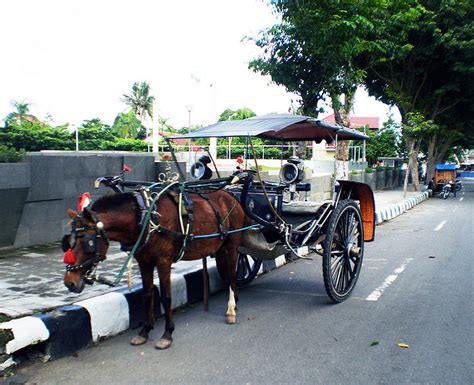 Gambar Tempat Wisata Kota Bandung Gambar Angkutan Tradisional Delman