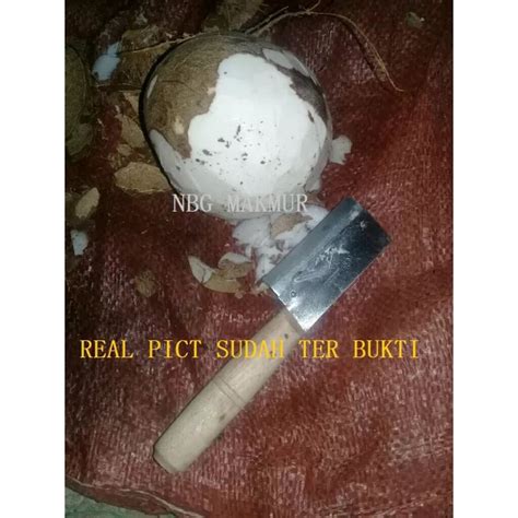 Jual Pisau Kupas Kulit Kelapa Dan Buah Jagung Peeler Pengupas