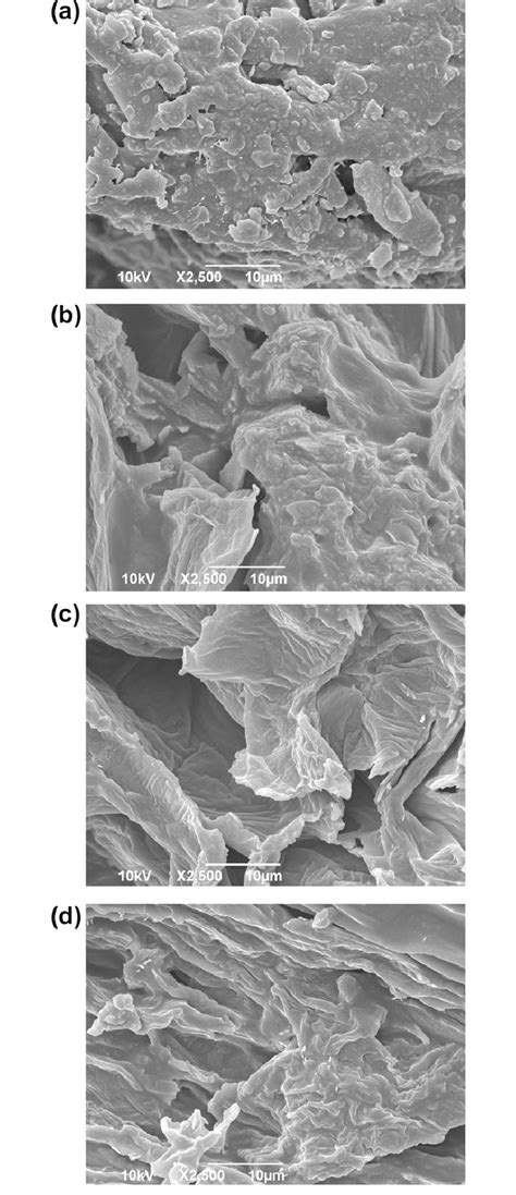 Sem Micrographs Of Biosorbents A Mp Peel B Mp Peel Cr Vi C Mp