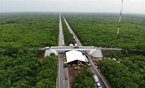 Todo Lo Que Debes Saber Sobre El Tren Maya ATBEY Desarrollos