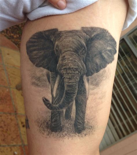 Outline Of Elephant Tattoo Saadfront