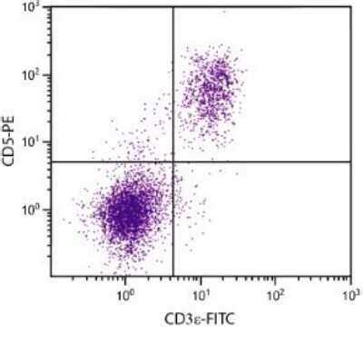 CD5 Antibody 4H8E5 FITC NBP1 26704 Novus Biologicals