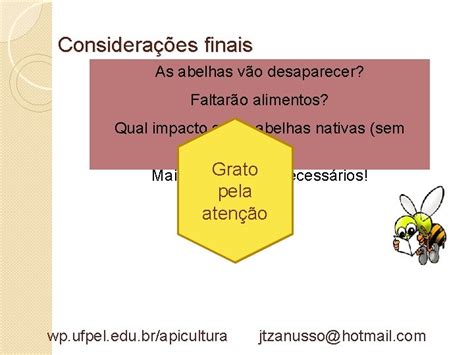 Desaparecimento Das Abelhas Mitos E Impacto Ambiental Eng