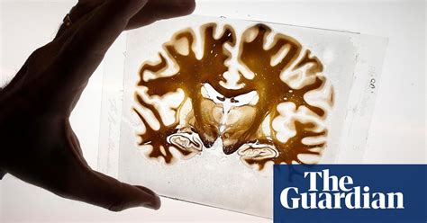 Brain waves: the science of emotion – podcast | Life and style | The Guardian