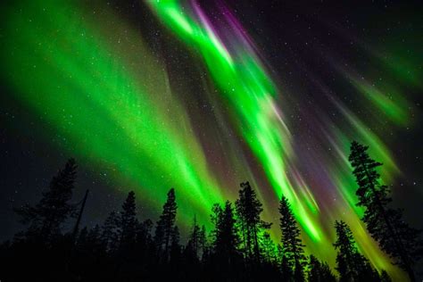 Para Toda La Familia Aventura En Aurora Boreal Desde Rovaniemi