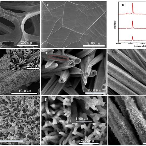 A SEM Image Of Graphene On 3D Nickel Foam B High Magnification SEM