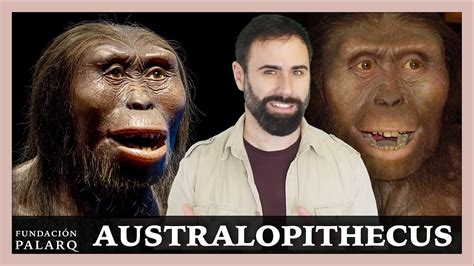 🔹 Australopithecus Las Principales Especies De Homininos Y Etapas De La Prehistoria Youtube