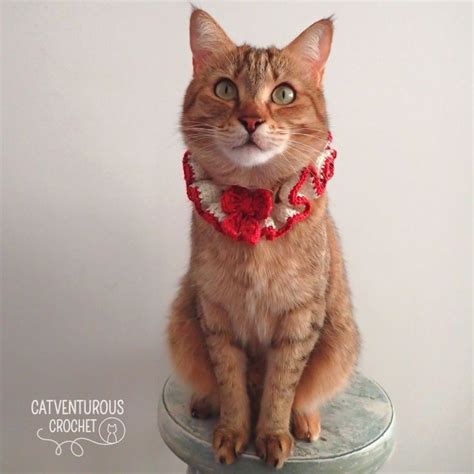 Festive Wreath Cat Collar Crochet Pattern