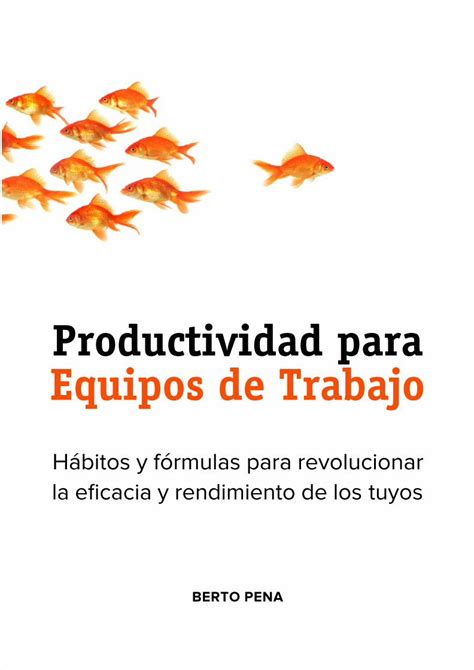 PDF Productividad Equipos DOKUMEN TIPS