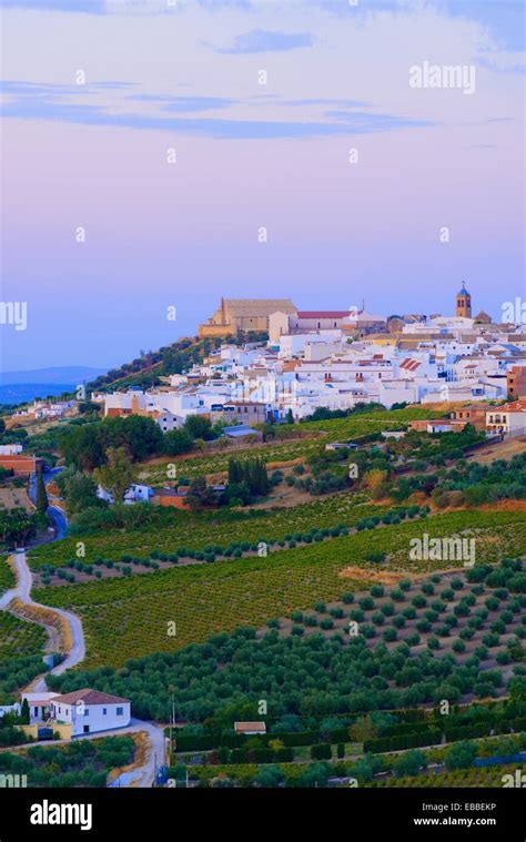 Montilla cordoba province montilla moriles area hi-res stock ...