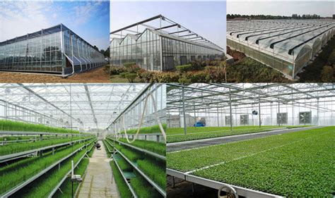 Prefabricated Light Steel Structure Agricultural Vegetable Greenhouse