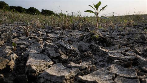 Emergenza Siccit In Italia Come Risparmiare Acqua