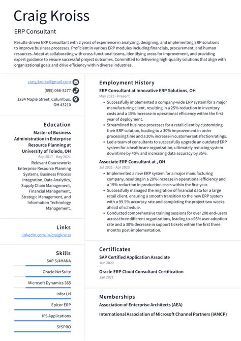 Top Erp Consultant Resume Objective Examples Resumecat