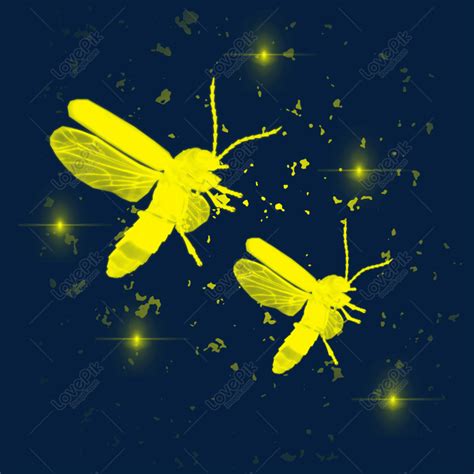 Firefly Elements Flying In The Summer Night Summer Night Flying