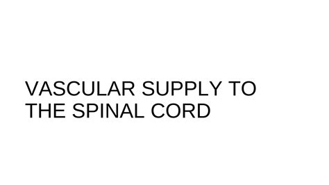 Vascular Anatomy Of Spinal Cord Ppt