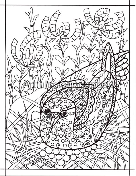 Bird Adult Coloring Pages Printable Adult Coloring Page Nature Adult ...