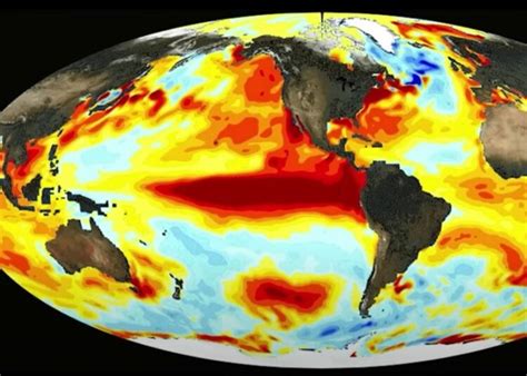 2023 fue el año más caluroso de la historia qué se espera para 2024