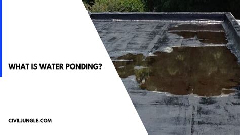 What Is Water Ponding Is Standing Water Pooling On Flat Roof A Problem Common Causes