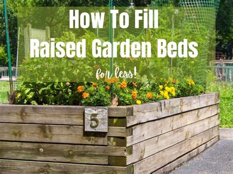 How To Fill Raised Garden Beds Cheap Learn To Grow Gardens