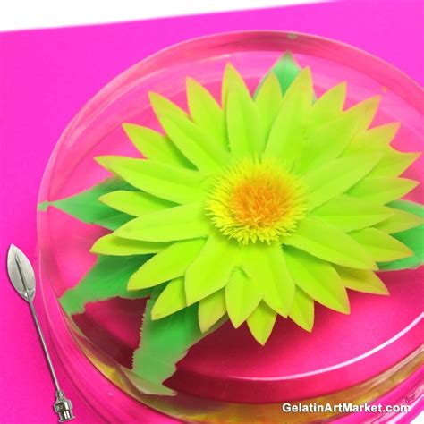 Gelatin Art Tool For Making Flowers In Gelatin D Jelly Cake How To