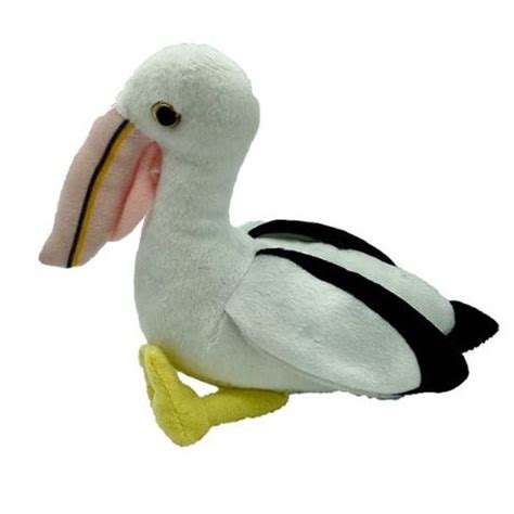 Pelican Percival – Western Australian Museum Store