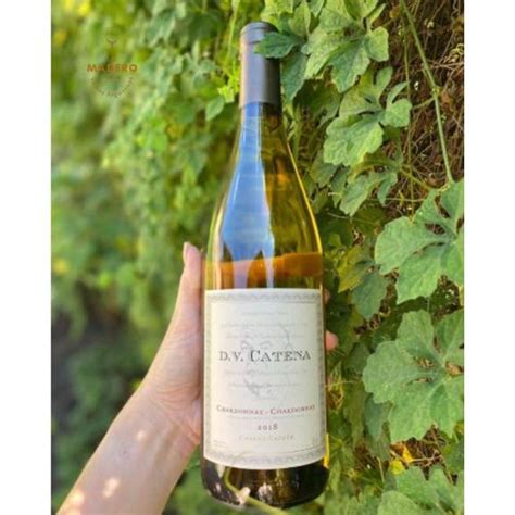 Vinho Argentino Dv Catena Chardonnay 750ml Shopee Brasil