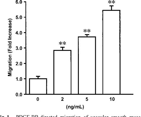 Figure 1 From Dominant Negative C Jun Inhibits Platelet Derived Growth