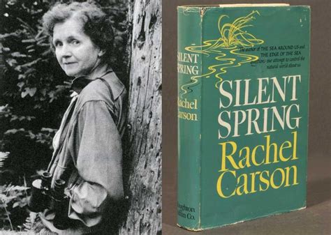 Jornal Noroeste A Semana Do Meio Ambiente E O Legado De Rachel Carson