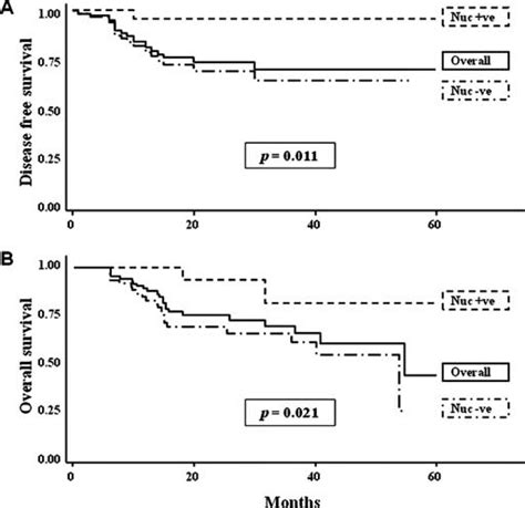 Disease Free A And Overall Survival B Analyzed By Kaplanmeier