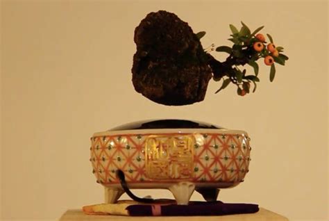 These Levitating Bonsai Will Brighten Your Home With Science Bonsai