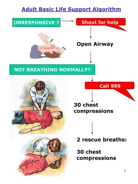 Ppt Basic Life Support Powerpoint Presentation Id 5616292