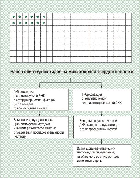 Рестрикция (restriction)