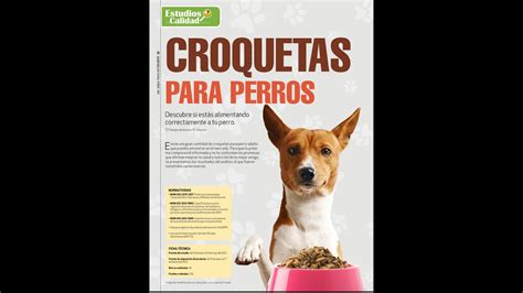 Las mejores croquetas para cachorros de 1 mes guía completa para