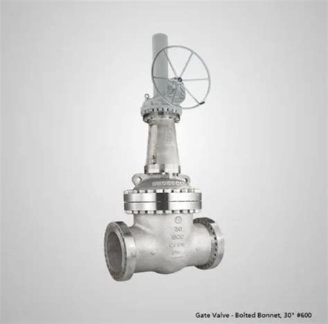 Landt Cast Steel Globe Valve Flanged End 600 Class Size 2 To 24 Inch At Rs 15008 In Mumbai