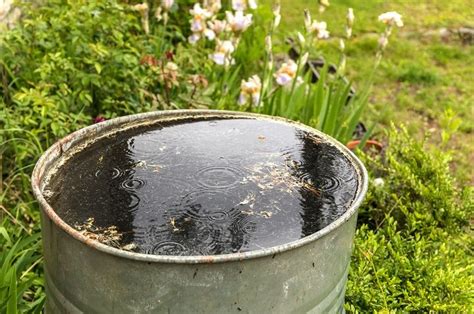 C Mo Recolectar Y Usar El Agua De Lluvia Para Uso Dom Stico