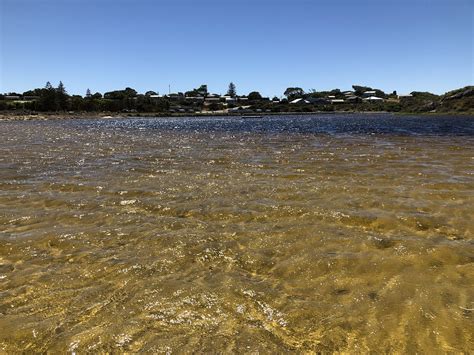 inlet river water rivers  photo  pixabay pixabay