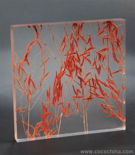 Architectural Decorative Acrylic Panels , Plexiglass Acrylic Sheet 1220 ...