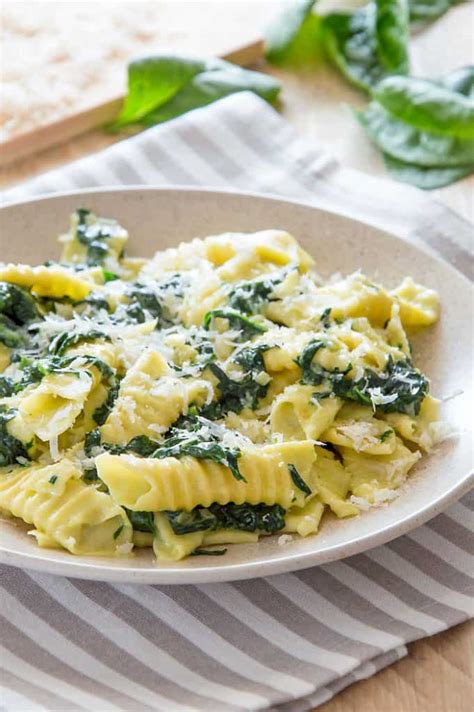 Garganelli With Creamy Spinach Sauce : Italian Recipe Book