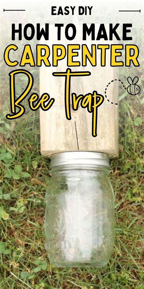 A Mason Jar With The Words How To Make Carpenter Bee Trap