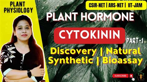 Plant Hormone Cytokinin Part 1 Discovery Natural Synthetic Ck