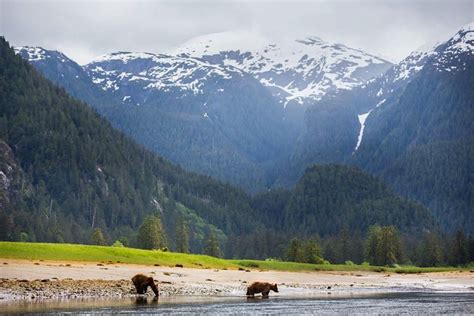 Luxury Rainforest Tours In Canada You Bet