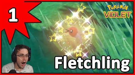 Full Odds Shiny Fletchling In Pokemon Violet Youtube