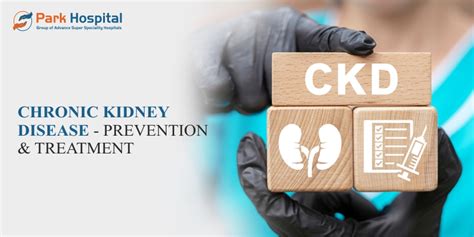 Chronic Kidney disease – Prevention and treatment