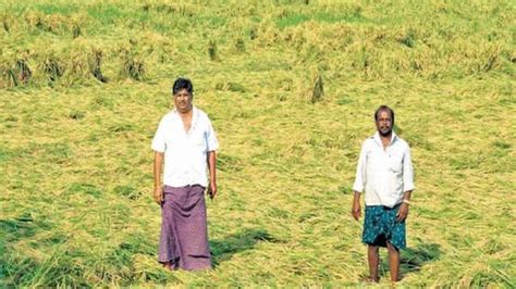 `rescue Farmers From Debt Trap The Hindu Businessline