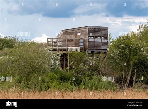 Elevated Bird Hide At Attenborough Nature Reserve Lakes And River Trent