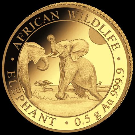 Goldm Nze Gramm Somalia Elefant Shilling Gold World