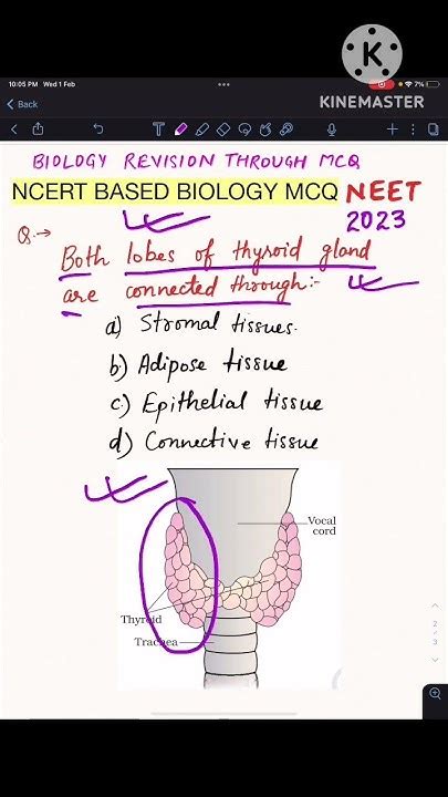 Ans 32 Thyroid Gland Ncert Based Biology Mcq Neet Biology Neetmotivation Neet2023 Mbbs